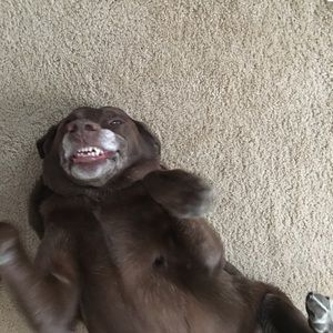 Meet your Posher, Lisa